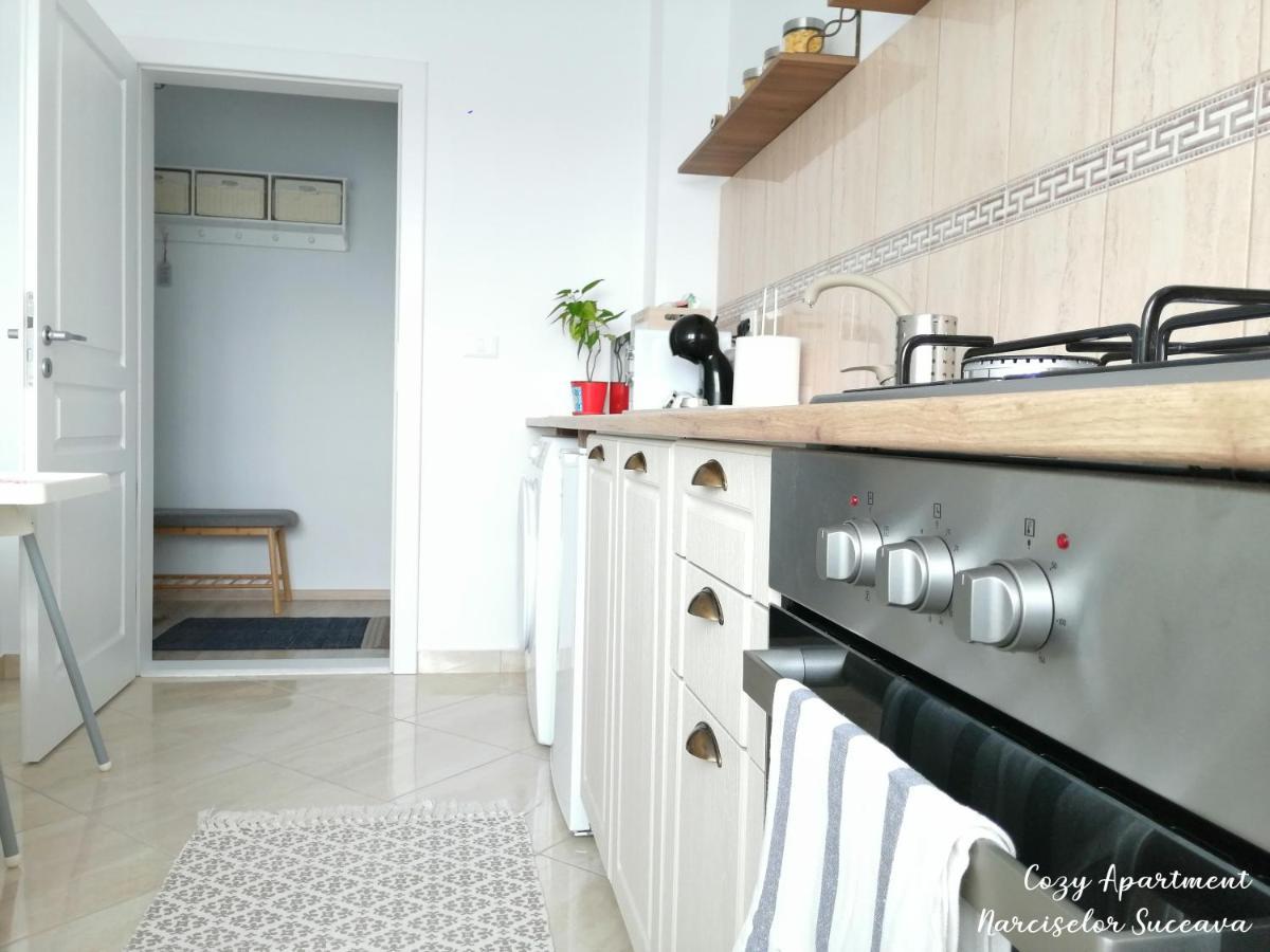 Cozy Apartment Narciselor Suceava Ipotesti  Εξωτερικό φωτογραφία