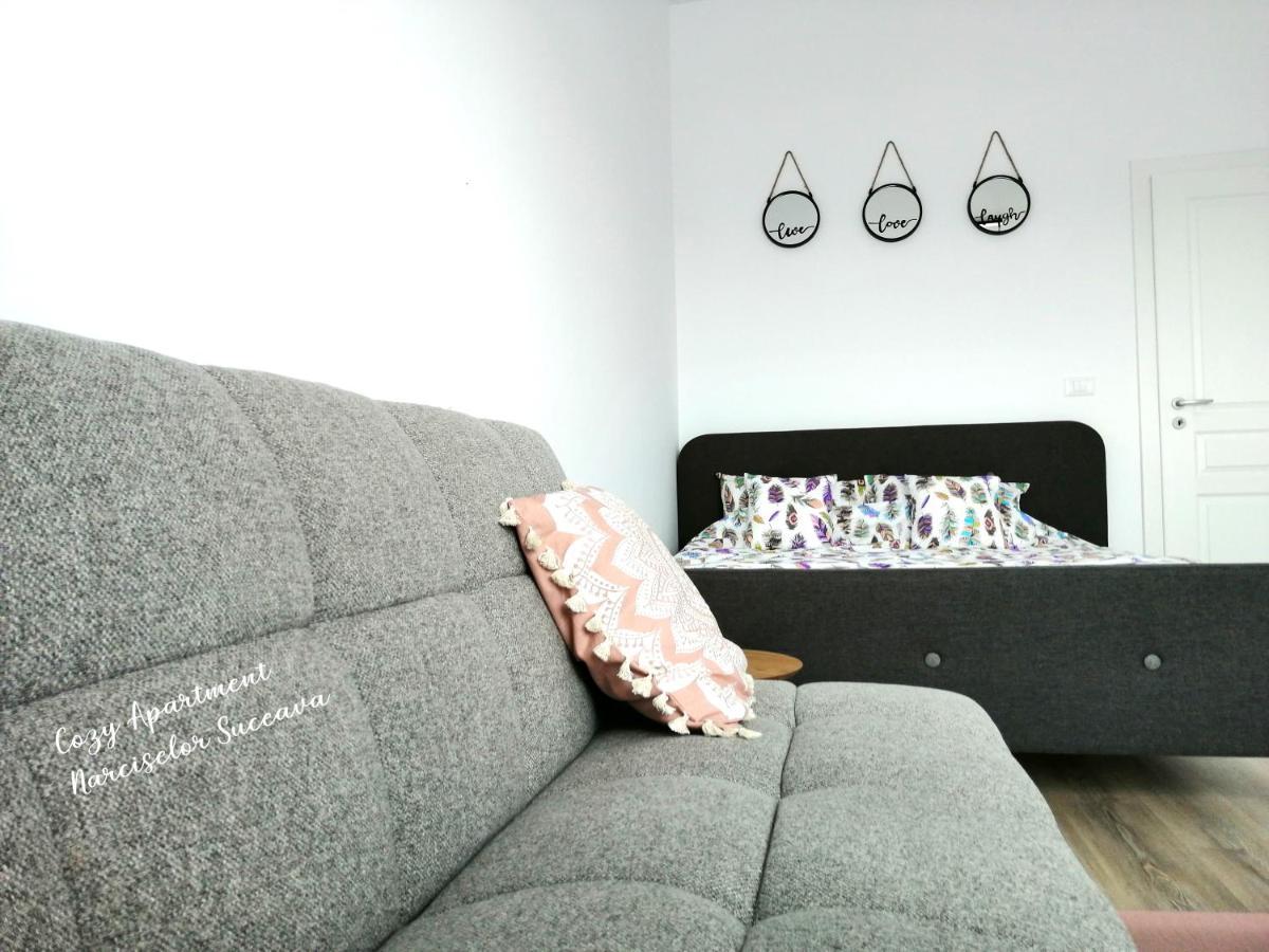 Cozy Apartment Narciselor Suceava Ipotesti  Εξωτερικό φωτογραφία
