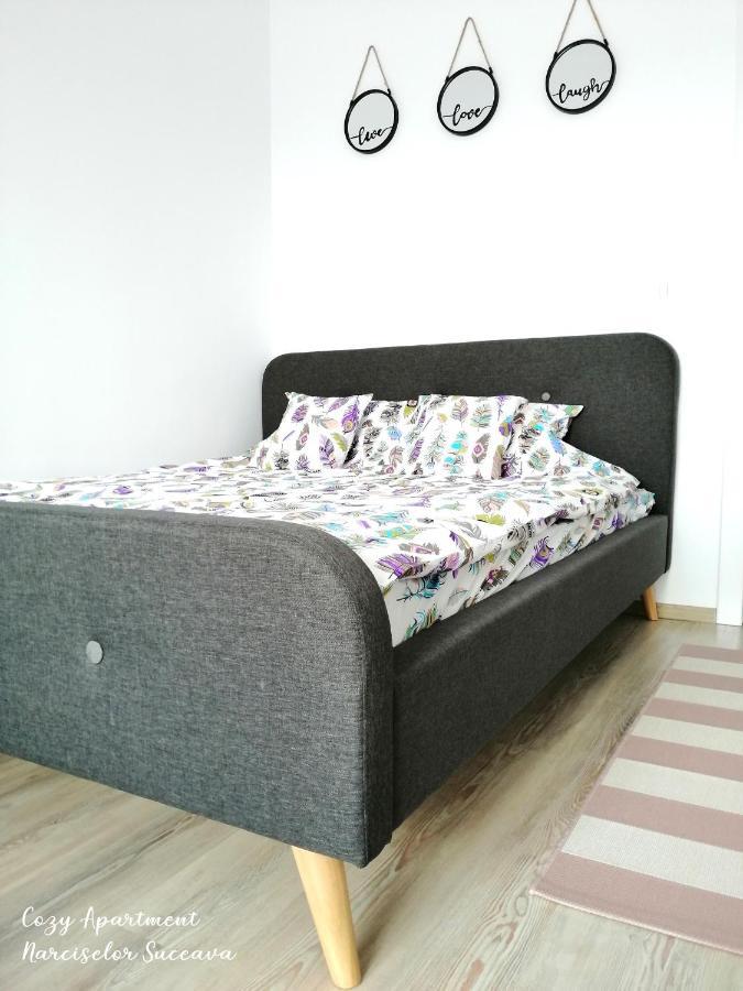 Cozy Apartment Narciselor Suceava Ipotesti  Εξωτερικό φωτογραφία