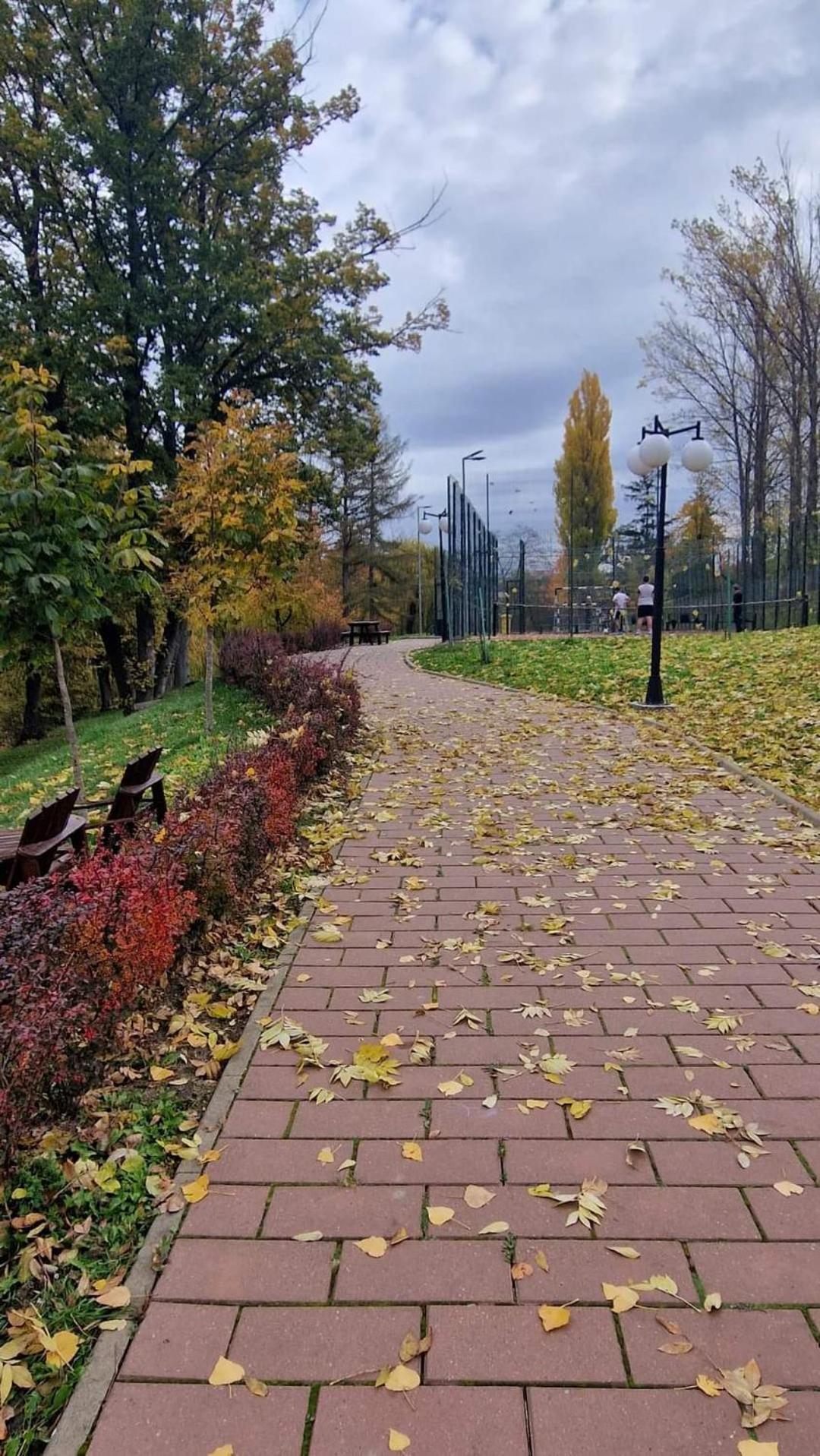 Cozy Apartment Narciselor Suceava Ipotesti  Εξωτερικό φωτογραφία